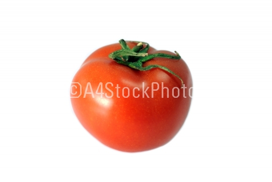 Beautiful Tomato