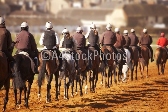Racehorses in training