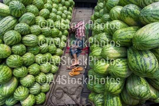 A tired worker sleeping in the boat filled with watermelons at Buriganga River in waizghat area, Dhaka, Bangladesh.