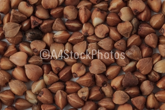 Buckwheat seeds up close