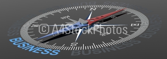 Business word on compass with blue and red needle