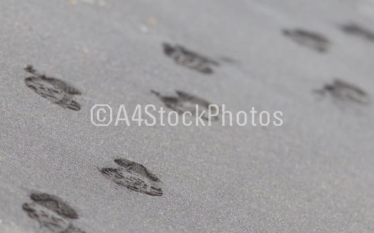 Footsteps on an Icelandic beach