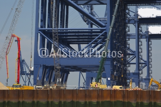 Giant dockside cranes