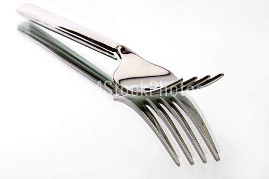shiny fork