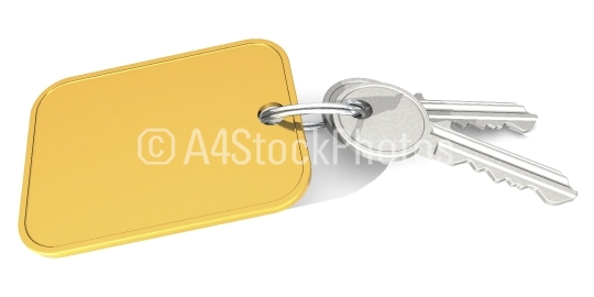 Steel key with golden blank label