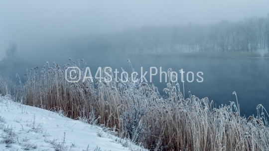 Winter fog in the freezing river