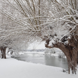 The Suffolk Stour in winter