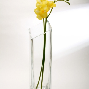 A freesia flower in a glass vase