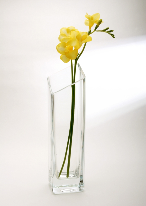 A freesia flower in a glass vase