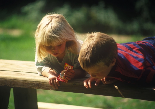 Two young blonde children playing on a picnic bench in the forest