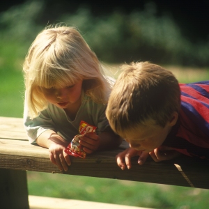 Two young blonde children playing on a picnic bench in the forest