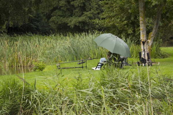 Carp fishing in the rain on a summer lake