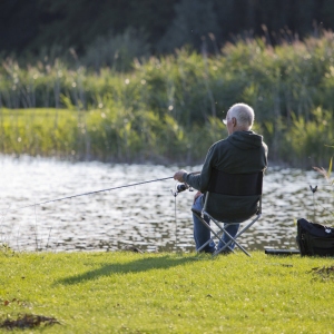 A coarse fisherman float fishing on a river bank or lakeside on a delightful summer evening in suffolk, england