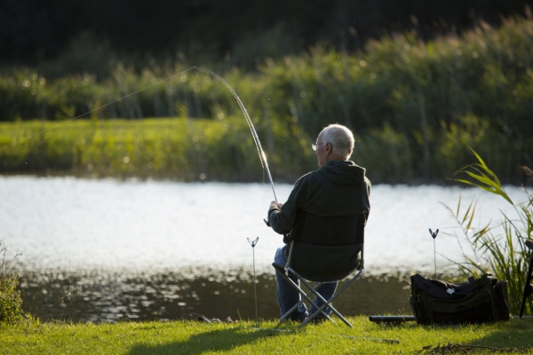 A coarse fisherman or angler playing a big fish on a beautiful summer's evening by the waterside