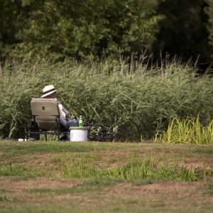 A freshwater angler fishing for carp on a summer's day