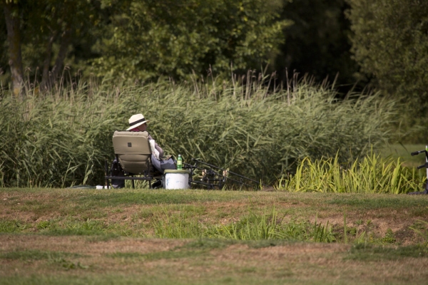 A freshwater angler fishing for carp on a summer's day