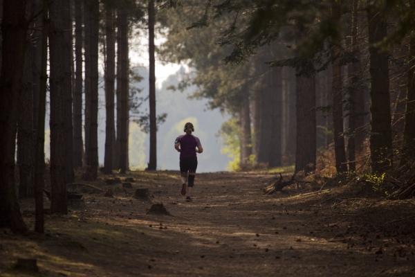 A young woman or girl jogging or running along a sunlit forest path