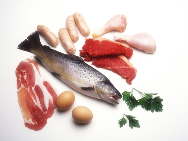 A selection of foods known to be high in protein