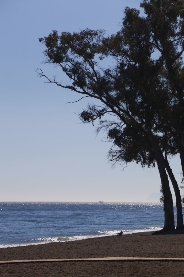 The beach at San Pedro at Puerto Banus in Southern Spain