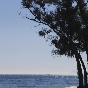 The beach at San Pedro at Puerto Banus in Southern Spain