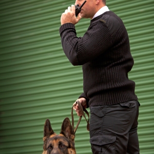 A security guard and guard dog checking out the security in an industrial or commercial building