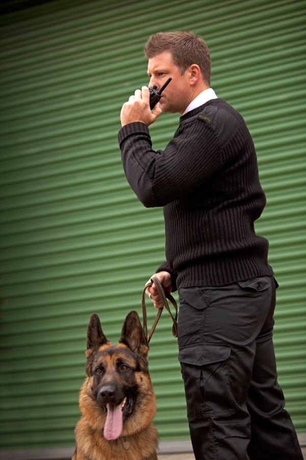 A security guard and guard dog checking out the security in an industrial or commercial building