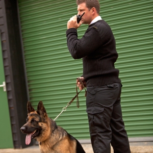 A security guard/dog handler checking out something or someone suspicious