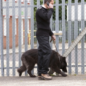 A security guard and guard dog patrolling perimeter fences