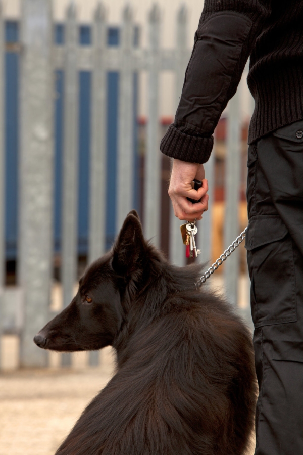 Security guard with German Shepherd dog on patrol