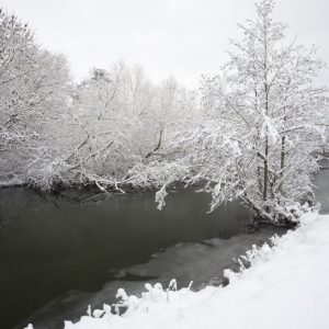 snow, river, river stour, Suffolk, England, Flatford mill Constable Country, willow trees, frost, winter