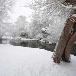 Winter willows on a snow covered River Stour at Flatford Mill in Suffolk