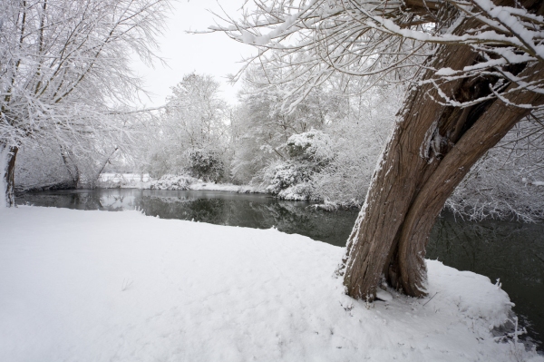 Winter willows on a snow covered River Stour at Flatford Mill in Suffolk