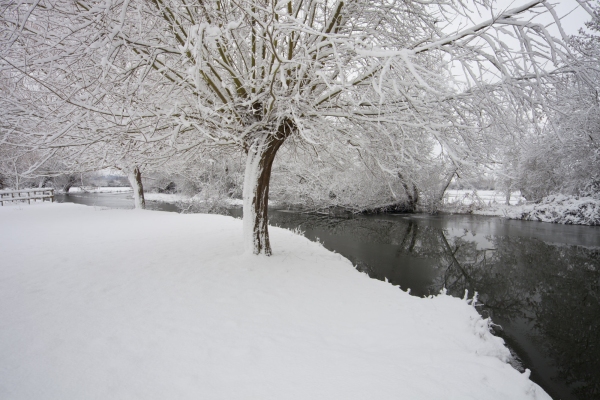 Winter willows on a snow covered River Stour at Flatford Mill in Suffolk