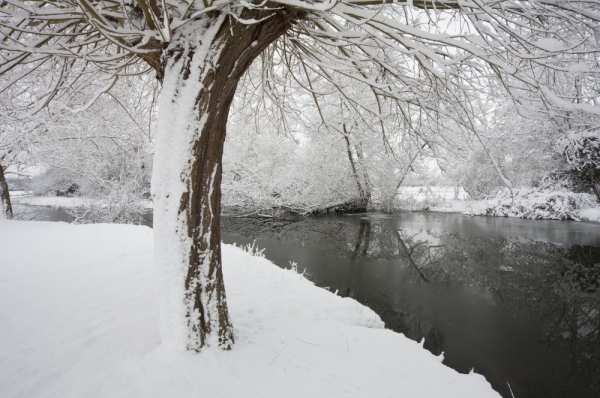 Winter willows on a snow covered River Stour at Flatford Mill in Suffolk