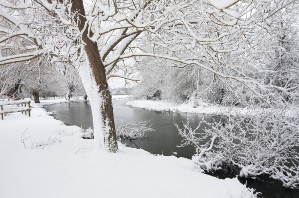 Winter willows on a snow covered River Stour at Flatford Mill in Suffolk