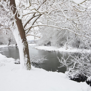 Winter willows on a snow covered River Stour at Flatford Mill in Suffolk