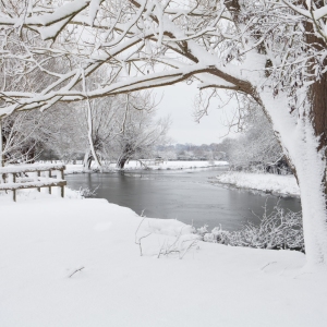 Winter willows on a snow covered River Stour at Flatford Mill in Suffolk