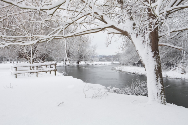 Winter willows on a snow covered River Stour at Flatford Mill in Suffolk