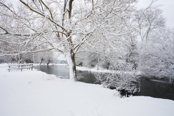 Winter willows on a snow covered River Stour at Flatford Mill in Suffolk