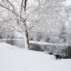 Winter willows on a snow covered River Stour at Flatford Mill in Suffolk