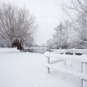 Winter willows on a snow covered River Stour at Flatford Mill in Suffolk