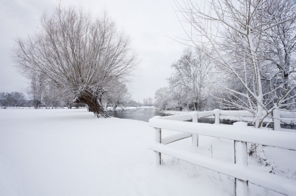 Winter willows on a snow covered River Stour at Flatford Mill in Suffolk