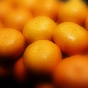 A close up view of satsumas or clementines on sale in a fruiterers