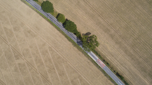 An aerial view of a country road surrounded by cereal crops