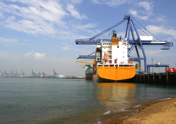 Container ships being unloaded at the port