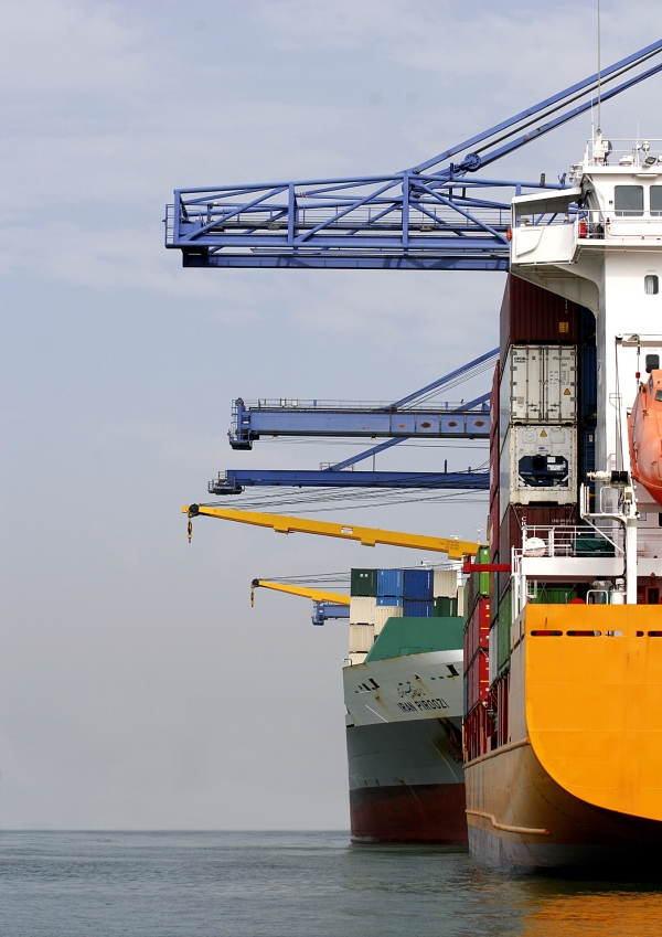 Container ships at anchor in the port, with large cranes unloading cargo