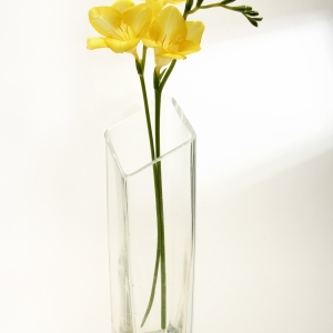 A yellow freesia flower in a glass vase