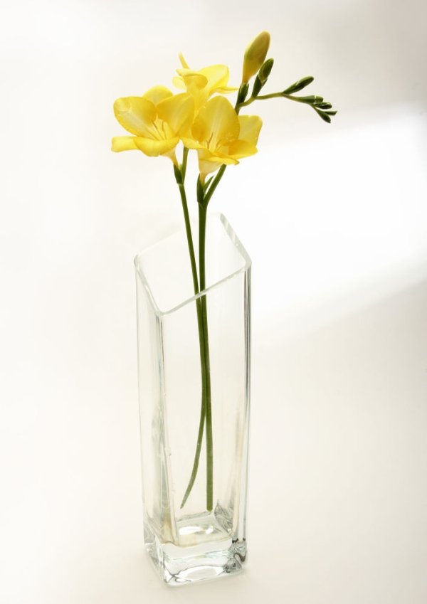 A yellow freesia flower in a glass vase