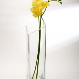 A yellow freesia flower in a glass vase