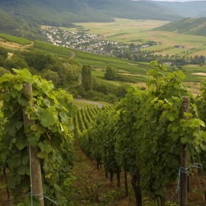 Vineyards and mountain villages in the Hunsruck region of South Western Germany